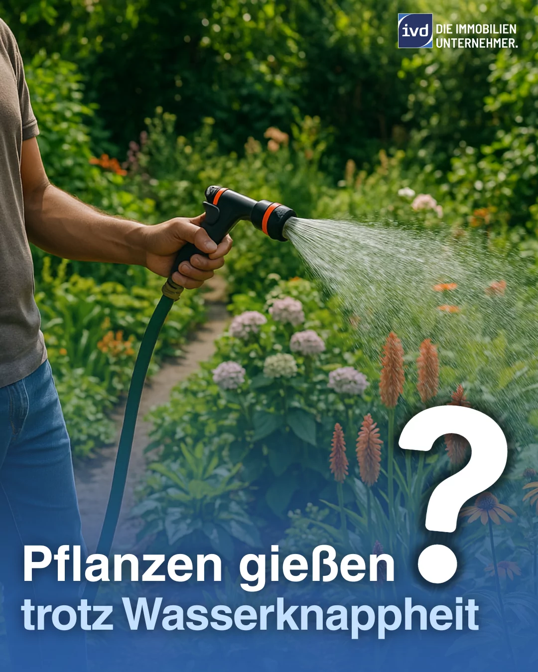 Wasser