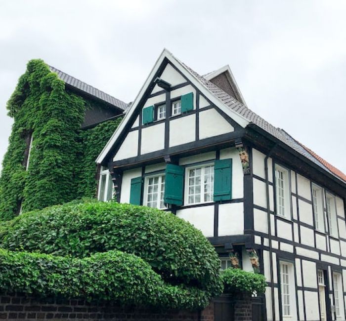 zwei Personen schütteln sich die Hand